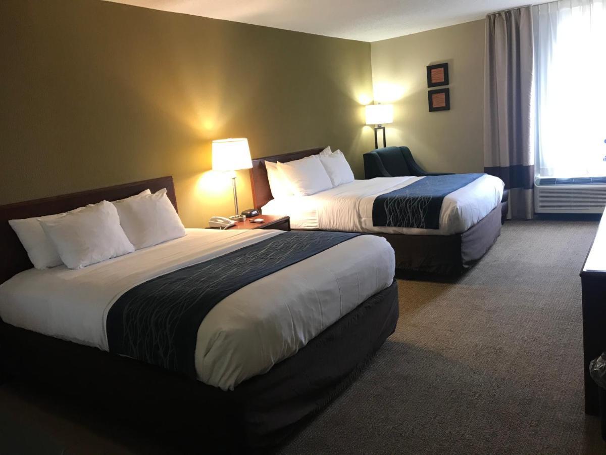 Comfort Inn Cambridge Dış mekan fotoğraf