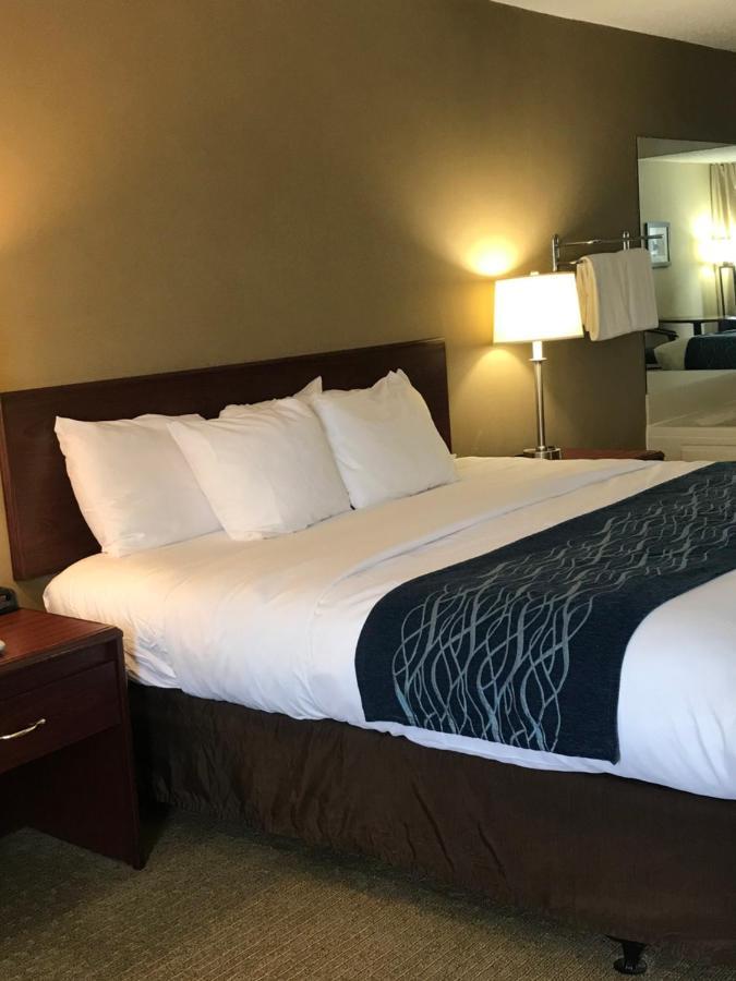 Comfort Inn Cambridge Dış mekan fotoğraf