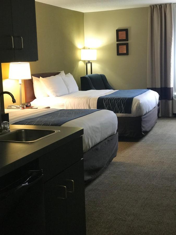 Comfort Inn Cambridge Dış mekan fotoğraf