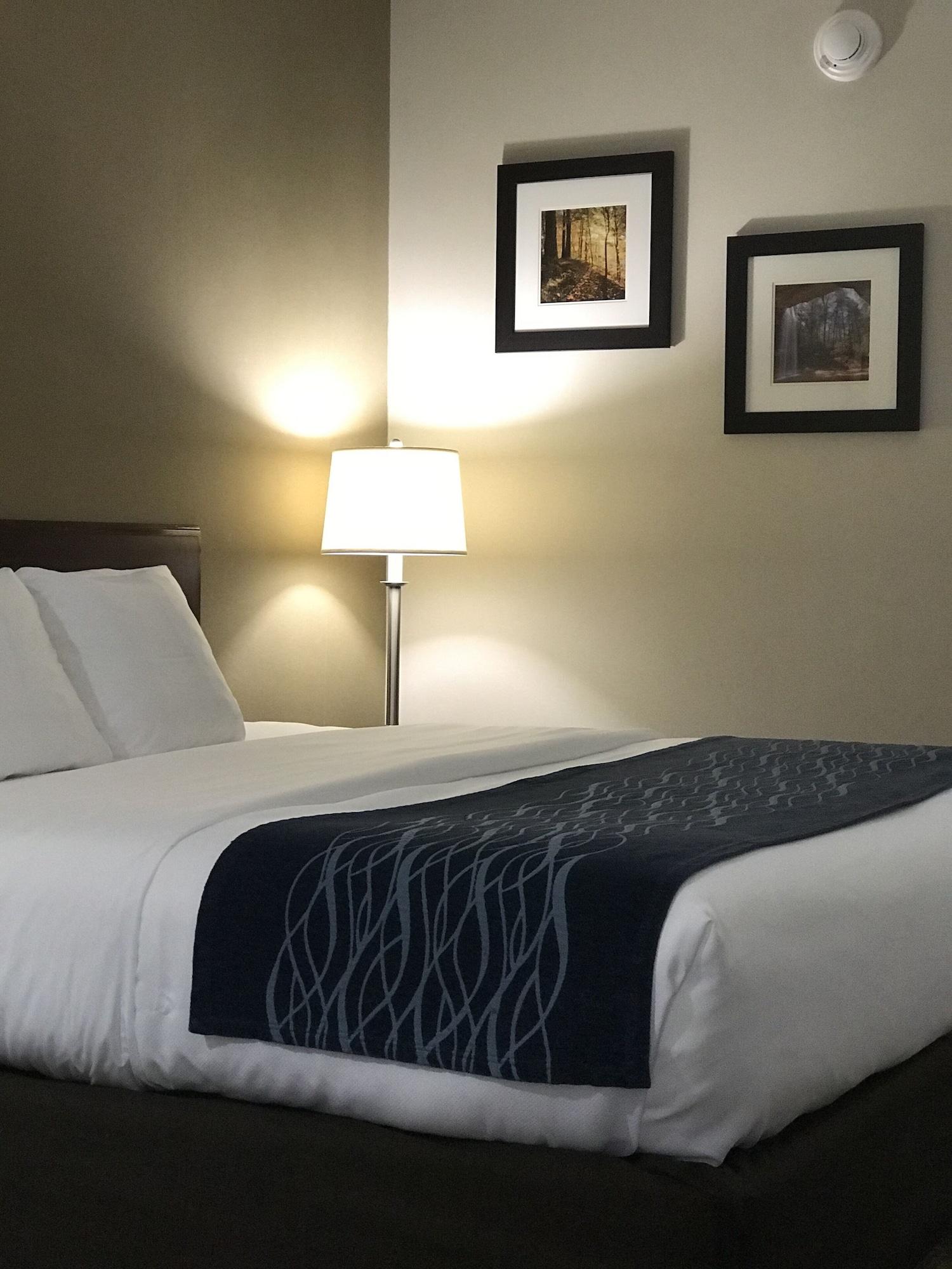 Comfort Inn Cambridge Dış mekan fotoğraf